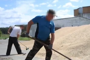Гомельская милиция начала привлекать осужденных на «сутки» к работам в сельхозпредприятиях